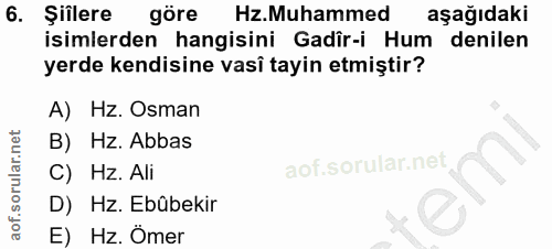 6. soru: Şiîlere göre Hz.Muhammed aşağıdaki isimlerden hangisini Gadîr-i Hum denilen yerde kendisine vasî tayin etmiştir? A) H…