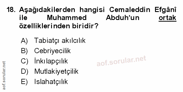 18. soru: Aşağıdakilerden hangisi Cemaleddin Efgânî ile Muhammed Abduh'un ortak özelliklerinden biridir? A) Tabiatçı akılcılık…