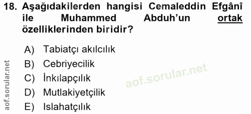 18. soru: Aşağıdakilerden hangisi Cemaleddin Efgânî ile Muhammed Abduh'un ortak özelliklerinden biridir? A) Tabiatçı akılcılık…
