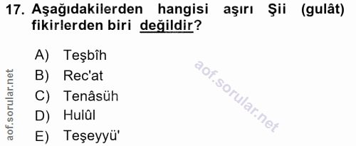 17. soru: Aşağıdakilerden hangisi aşırı Şii (gulât) fikirlerden biri değildir? A) Teşbîh B) Rec'at C) Tenâsüh D) Hulûl E) Teşeyyü"