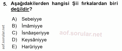 5. soru: Aşağıdakilerden hangisi Şii fırkalardan biri değildir? A) Sebeiyye B) Imâmiyye rular.n C) İsnâaşeriyye aof.s D) Keysâ…