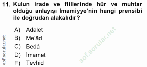11. soru: Kulun irade ve fiillerinde hür ve muhtar olduğu anlayışı İmamiyye'nin hangi prensibi ile doğrudan alakalıdır? A) Adal…