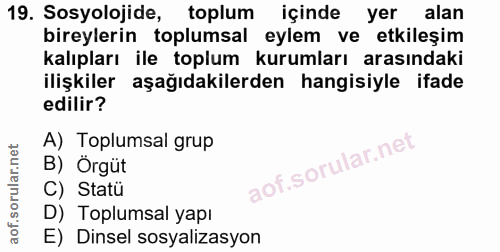 19. soru: Sosyolojide, toplum içindeyer alan bireylerin toplumsal eylem ve etkileşim kalıpları ile toplum kurumları arasındaki…