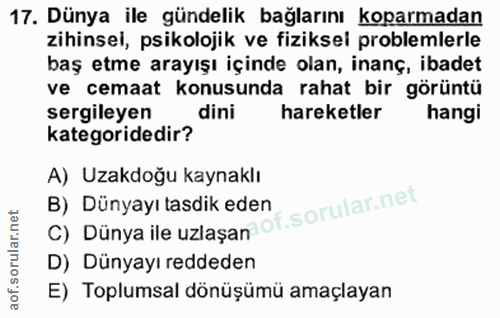 17. soru: Dünya ile gündelik bağlarını koparmadan zihinsel, psikolojik ve fiziksel problemlerle baş etme arayışı içinde olan, i…