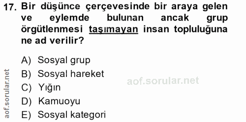 17. soru: Bir düşünce çerçevesinde bir araya gelen ve eylemde bulunan ancak grup örgütlenmesi taşımayan insan topluluğuna ne ad…