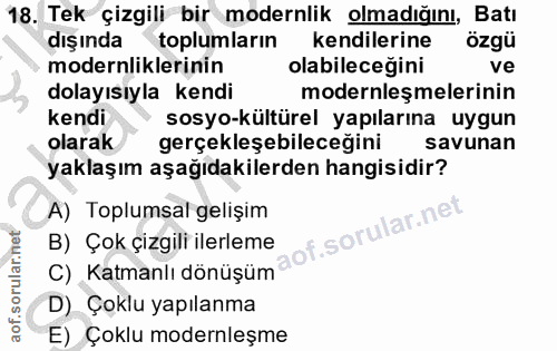 18. soru: Tek çizgili bir modernlik olmadığını, Batı dışında toplumların kendilerine özgü modernliklerinin olabileceğini ve dol…