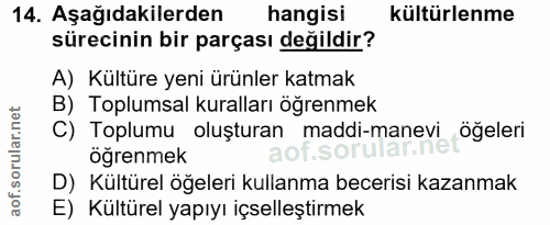 14. soru: Aşağıdakilerden hangisi kültürlenme sürecinin bir parçası değildir? A) Kültüre yeni ürünler katmak B) Toplumsal kural…
