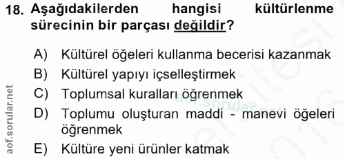 18. soru: Aşağıdakilerden hangisi kültürlenme sürecinin bir parçası değildir? A) Kültürel öğeleri kullanma becerisi kazanmak B)…