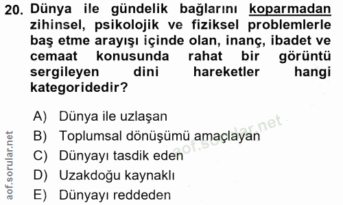 20. soru: Dünya ile gündelik bağlarını koparmadan zihinsel, psikolojik ve fiziksel problemlerle baş etme arayışı içinde olan, i…