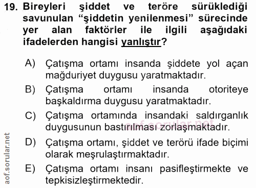 19. soru: Bireyleri şiddet ve teröre sürüklediği savunulan "şiddetin yenilenmesi" sürecinde yer alan faktörler ile ilgili aşağı…