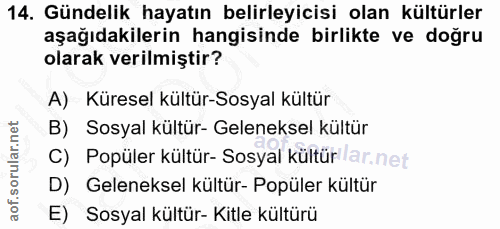 14. soru: Gündelik hayatın belirleyicisi olan kültürler aşağıdakilerin hangisinde birlikte ve doğru olarak verilmiştir? A) Küre…
