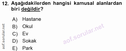 12. soru: Aşağıdakilerden hangisi kamusal alanlardan biri değildir? A) Hastane B) Okul C) Ev D) Sokak E) Park