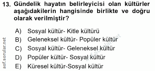 13. soru: Gündelik hayatın belirleyicisi olan kültürler aşağıdakilerin hangisinde birlikte ve doğru olarak verilmiştir? A) Sosy…