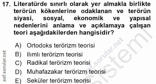 17. soru: Literatürde sınırlı olarak yer almakla birlikte terörün kökenlerine odaklanan ve terörün siyasi, sosyal, ekonomik yap…
