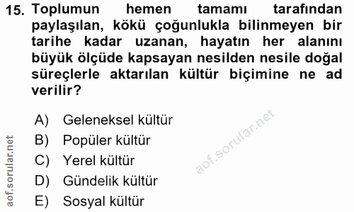 15. soru: Toplumun hemen tamamı tarafından paylaşılan, kökü çoğunlukla bilinmeyen bir tarihe kadar uzanan, hayatın her alanını…