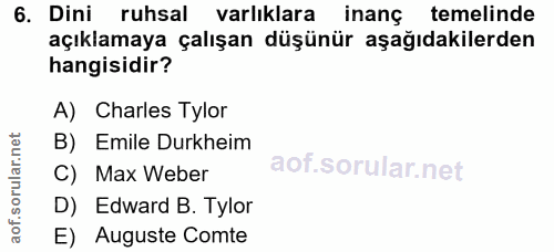 6. soru: Dini ruhsal varlıklara inanç temelinde açıklamaya çalışan düşünür aşağıdakilerden hangisidir? A) Charles Tylor B) Emi…