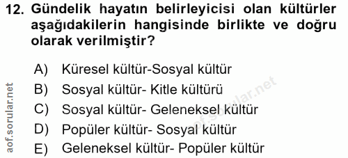 12. soru: Gündelik hayatın belirleyicisi olan kültürler aşağıdakilerin hangisinde birlikte ve doğru olarak verilmiştir? A) Küre…