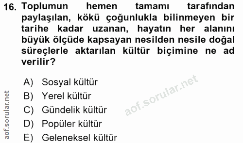 16. soru: Toplumun hemen tamamı tarafından paylaşılan, kökü çoğunlukla bilinmeyen bir tarihe kadar uzanan, hayatın her alanını…