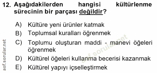 12. soru: Aşağıdakilerden hangisi kültürlenme sürecinin bir parçası değildir? A) Kültüre yeni ürünler katmak B) Toplumsal kural…