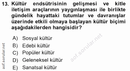 13. soru: Kültür endsütrisinin gelişmesi ve kitle iletişim araçlarının yaygınlaşması ile birlikte gündelik hayattaki tutumlar v…
