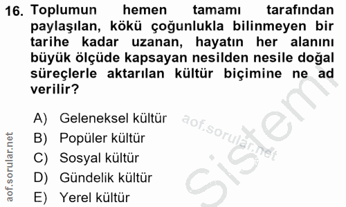 16. soru: Toplumun hemen tamamı tarafından paylaşılan, kökü çoğunlukla bilinmeyen bir tarihe kadar uzanan, hayatın her alanını…