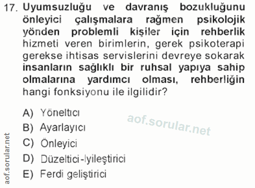17. soru: Uyumsuzluğu ve davranış bozukluğunu önleyici çalışmalara rağmen psikolojik yönden problemli kişiler için rehberlik hi…