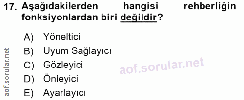 17. soru: Aşağıdakilerden hangisi rehberliğin fonksiyonlardan biri değildir? A) Yöneltici B) Uyum Sağlayıcı C) Gözleyici D) Onl…