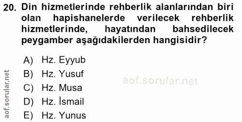 20. soru: Din hizmetlerinde rehberlik alanlarından biri olan hapishanelerde verilecek rehberlik hizmetlerinde, hayatından bahse…