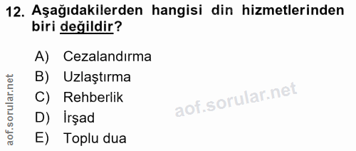 12. soru: Aşağıdakilerden hangisi din hizmetlerinden biri değildir? A) Cezalandırma B) Uzlaştırma C) Rehberlik D) Irşad E) Topl…