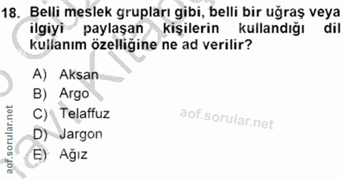 18. soru: Belli meslek grupları gibi, belli bir uğraş veya ilgiyi paylaşan kişilerin kullandığı dil kullanım özelliğine ne ad v…
