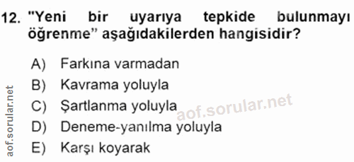 12. soru: "Yeni bir uyarıya tepkide bulunmayı öğrenme" aşağıdakilerden hangisidir? A) Farkina varmadan B) Kavrama yoluyla C) Şa…