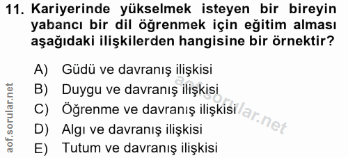 11. soru: Kariyerinde yükselmek isteyen bir bireyin yabancı bir dil öğrenmek için eğitim alması aşağıdaki ilişkilerden hangisin…