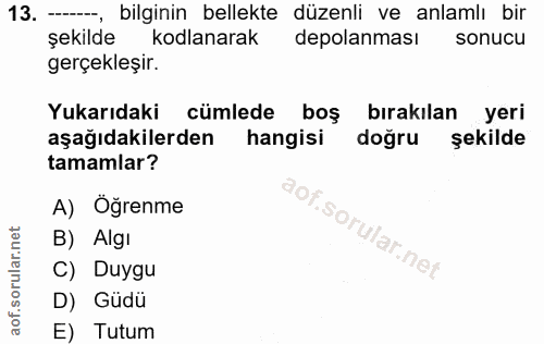 13. soru: -_, bilginin bellekte düzenli ve anlamlı bir şekilde kodlanarak depolanması sonucu gerçekleşir. Yukarıdaki cümlede bo…