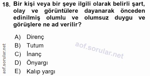 18. soru: Bir kişi veya bir şeye ilgili olarak belirli şart, olay ve görüntülere dayanarak önceden edinilmiş olumlu ve olumsuz…
