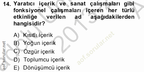 14. soru: Yaratıcı içerik ve sanat çalışmaları gibi fonksiyonel çalışmaları içeren her türlü etkinlige verilen ad aşağıdakilerd…