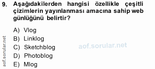 9. soru: Aşağıdakilerden hangisi özellikle çeşitli çizimlerin yayınlanması amacına sahip web günlüğünü belirtir? A) Vlog B) Li…