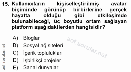 15. soru: Kullanıcıların kişiselleştirilmiş avatar biçiminde görünüp birbirlerine gerçek hayatta olduğu gibi etkileşimde buluna…