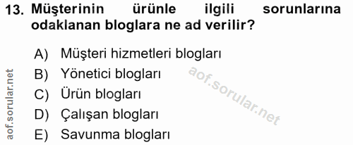 13. soru: Müşterinin ürünle ilgili sorunlarına odaklanan bloglara ne ad verilir? A) Müşteri hizmetleri blogları B) Yönetici blo…