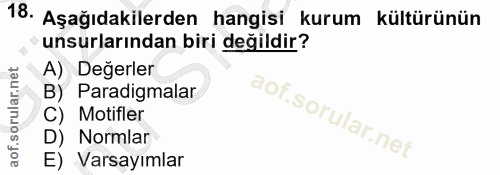 18. soru: Aşağıdakilerden hangisi kurum kültürünün unsurlarından biri değildir? A) Değerler B) Paradigmalar C) Motifler Normlar…