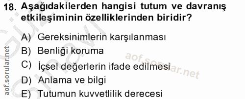 18. soru: Aşağıdakilerden hangisi tutum ve davranış etkileşiminin özelliklerinden biridir? A) Gereksinimlerin karşılanması B) B…