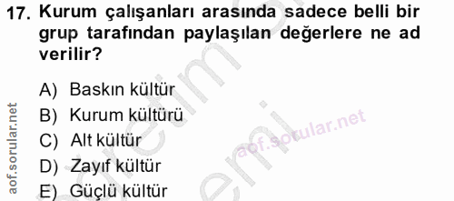 17. soru: Kurum çalışanları arasında sadece belli bir grup tarafindan paylaşılan değerlere ne ad verilir? A) Baskın kültür B) K…