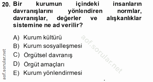 20. soru: Bir kurumun içindeki insanların davranışlarını yönlendiren normlar, davranışlar, degerler ve alışkanlıklar sistemine…