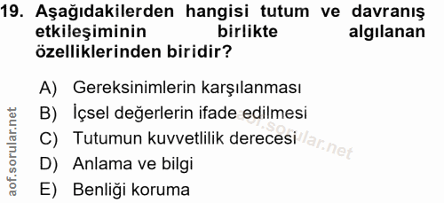 19. soru: Aşağıdakilerden hangisi tutum ve davranış etkileşiminin birlikte algilanan özelliklerinden biridir? A) Gereksinimleri…