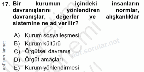 17. soru: Bir kurumun içindeki insanların davranışlarını yönlendiren normlar, davranışlar, değerler ve alışkanlıklar sistemine…