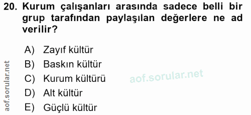 20. soru: Kurum çalışanları arasında sadece belli bir grup tarafından paylaşılan değerlere ne ad verilir? A) Zayıf kültür B) Ba…