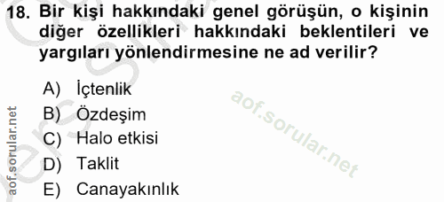 18. soru: Bir kişi hakkındaki genel görüşün, o kişinin diğer özellikleri hakkındaki beklentileri ve yargıları yönlendirmesine n…