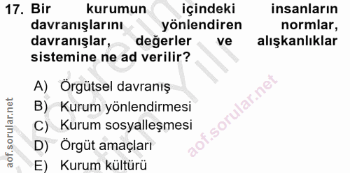 17. soru: Bir kurumun içindeki insanların davranışlarını yönlendiren normlar, davranışlar, değerler ve alışkanlıklar sistemine…