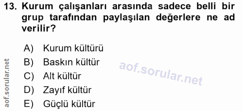 13. soru: Kurum çalışanları arasında sadece belli bir grup tarafindan paylaşılan değerlere ne ad verilir? A) Kurum kültürü B) B…