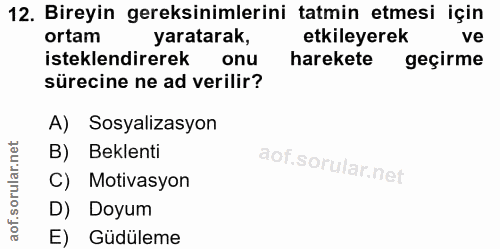 12. soru: Bireyin gereksinimlerini tatmin etmesi için ortam yaratarak, etkileyerek ve isteklendirerek onu harekete geçirme süre…
