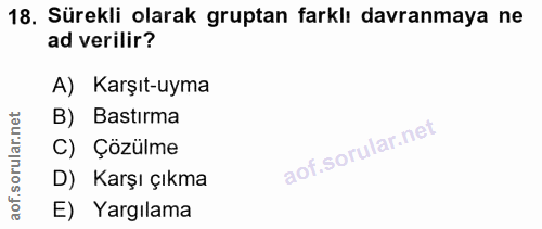 18. soru: Sürekli olarak gruptan farklı davranmaya ne ad verilir? A) Karşıt-uyma rular.net B) Bastırma C) Çözülme aof.s D) Karş…